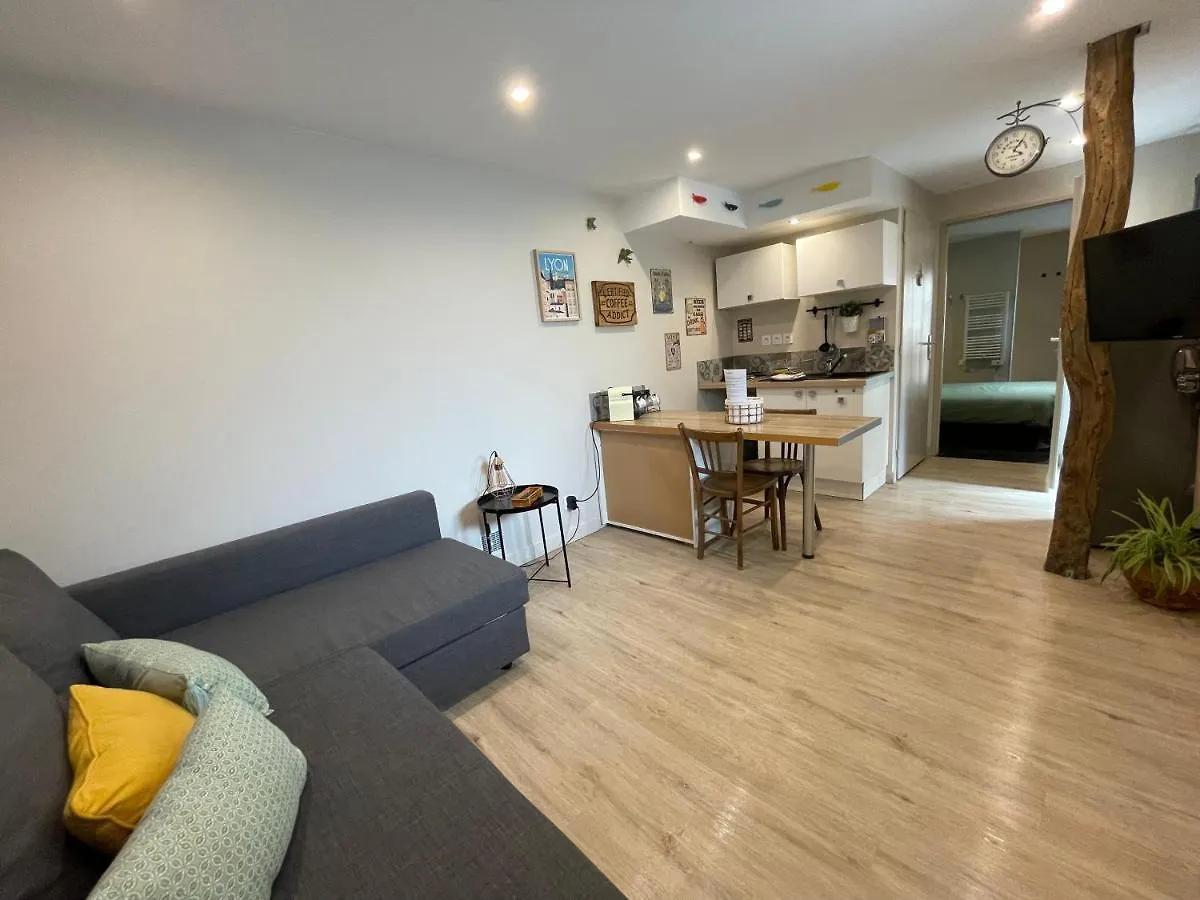 Apartment Appartement Cosy Au Coeur Du Beaujolais Saint-Lager France